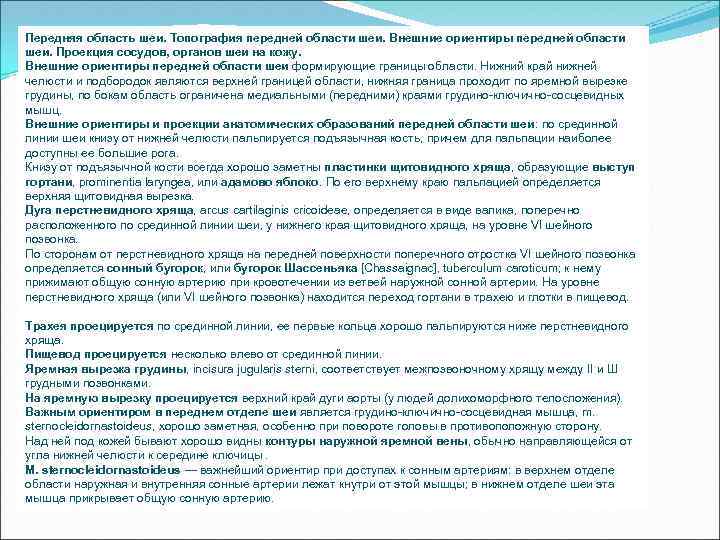 Передняя область шеи. Топография передней области шеи. Внешние ориентиры передней области шеи. Проекция сосудов,