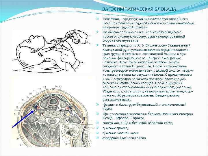 Топографическая анатомия и оперативная хирургия шеи презентация