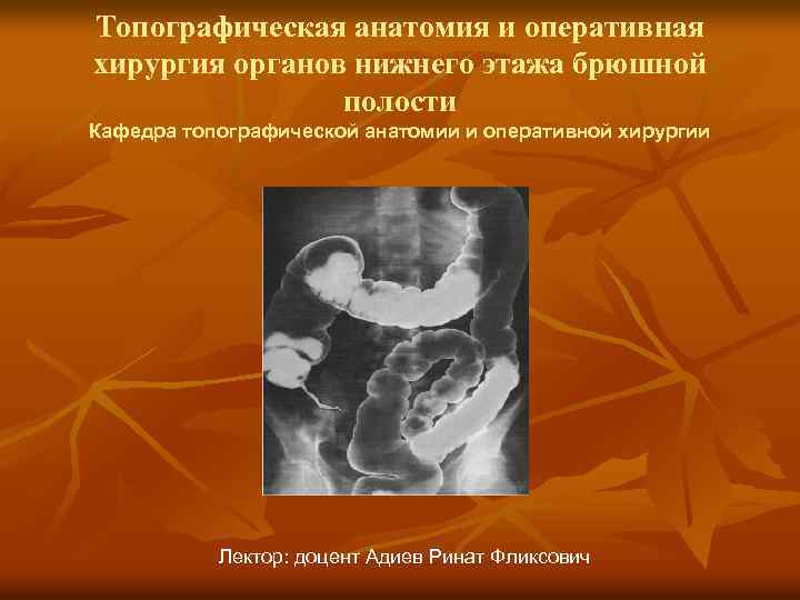 Топографическая анатомия и оперативная хирургия органов нижнего этажа брюшной полости Кафедра топографической анатомии и