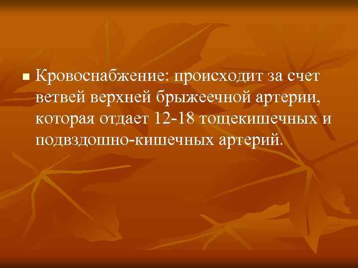 n Кровоснабжение: происходит за счет ветвей верхней брыжеечной артерии, которая отдает 12 18 тощекишечных