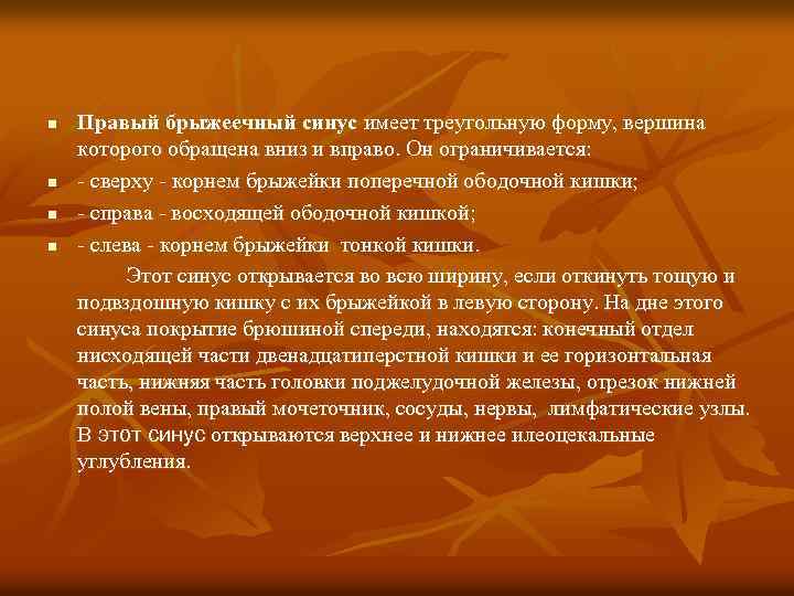 n n Правый брыжеечный синус имеет треугольную форму, вершина которого обращена вниз и вправо.