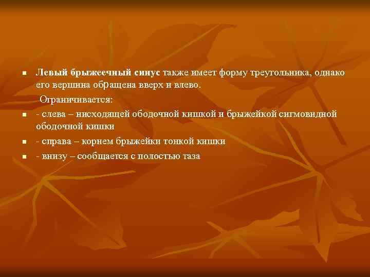 n n Левый брыжеечный синус также имеет форму треугольника, однако его вершина обращена вверх