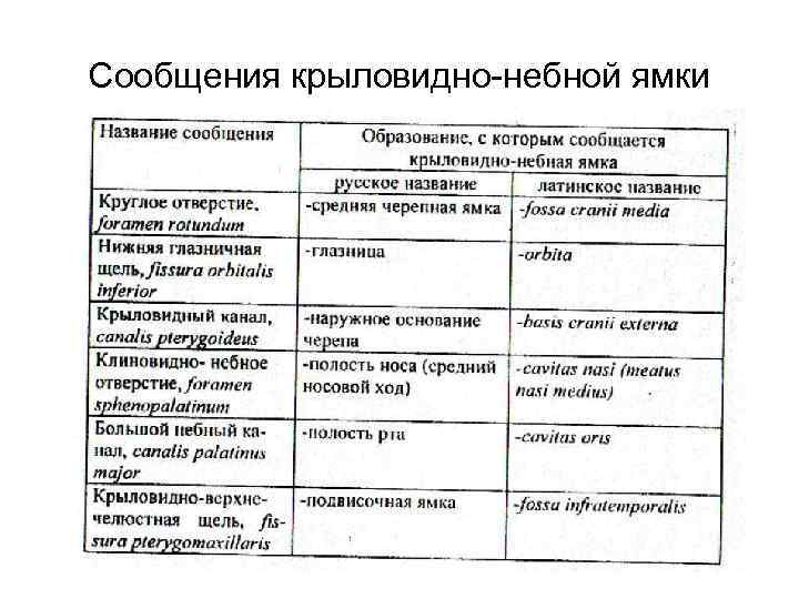 Сообщения крыловидно-небной ямки 