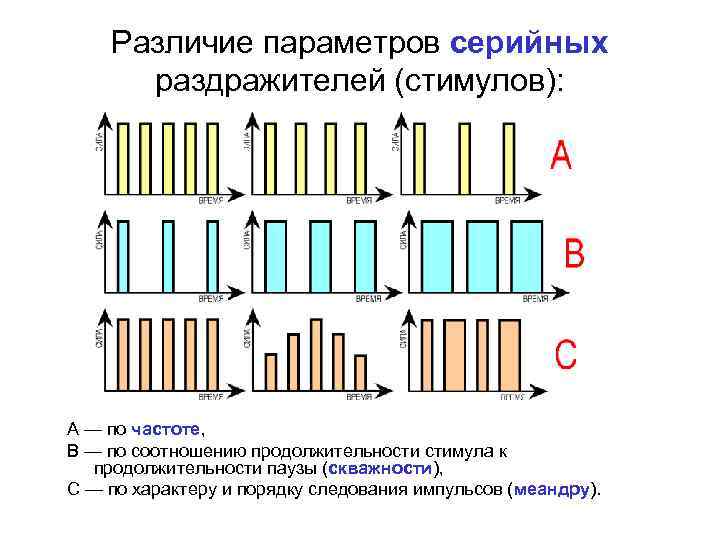 Различие параметров серийных раздражителей (стимулов): А — по частоте, B — по соотношению продолжительности