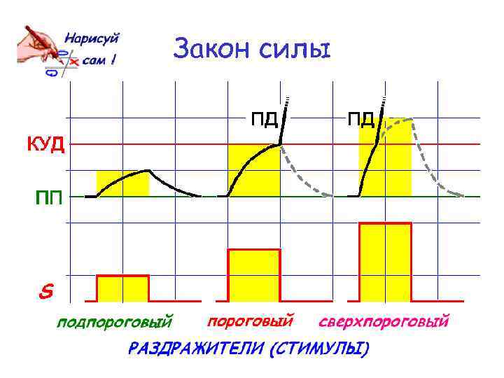 Закон силы 