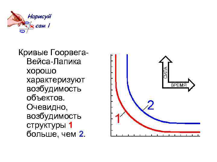 Кривые Гоорвега. Вейса-Лапика хорошо характеризуют возбудимость объектов. Очевидно, возбудимость структуры 1 больше, чем 2.