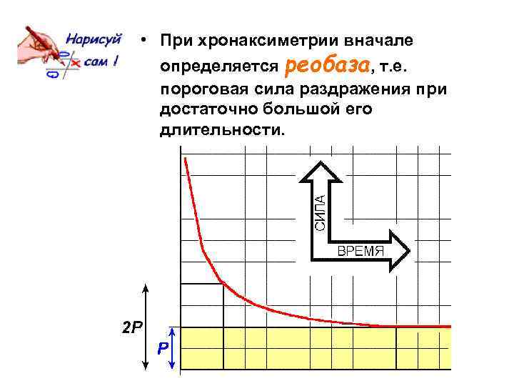  • При хронаксиметрии вначале определяется реобаза, т. е. пороговая сила раздражения при достаточно