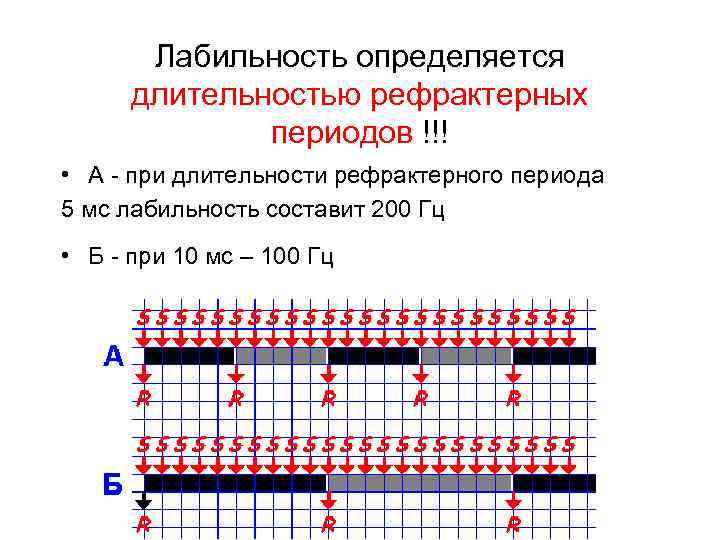 Лабильность определяется длительностью рефрактерных периодов !!! • А - при длительности рефрактерного периода 5