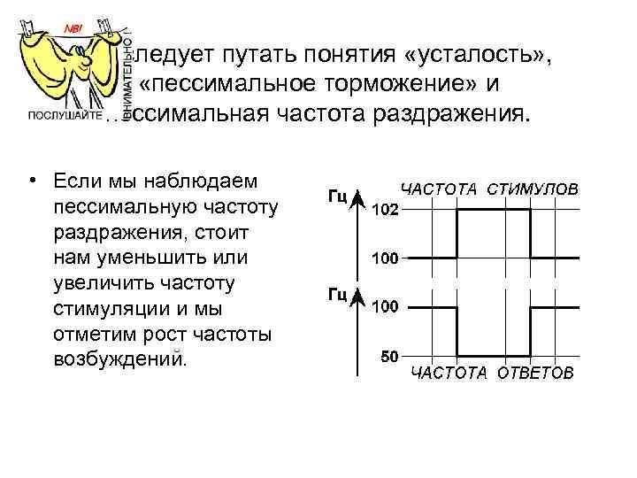 Не следует путать понятия «усталость» , «пессимальное торможение» и пессимальная частота раздражения. • Если