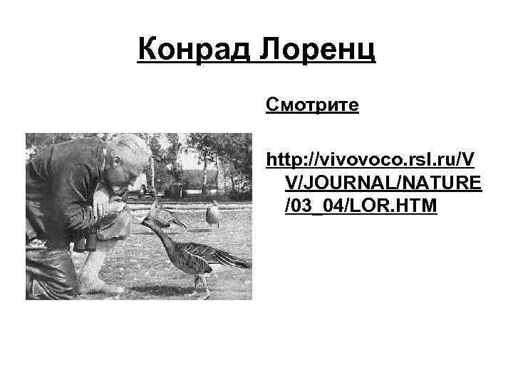 Конрад Лоренц Смотрите http: //vivovoco. rsl. ru/V V/JOURNAL/NATURE /03_04/LOR. HTM 