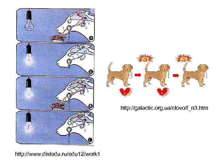 http: //galactic. org. ua/clovo/f_n 3. htm http: //www. distedu. ru/edu 12/work 1 