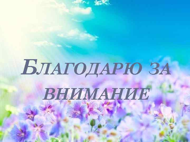 БЛАГОДАРЮ ЗА ВНИМАНИЕ 