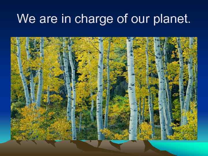 We are in charge of our planet. 