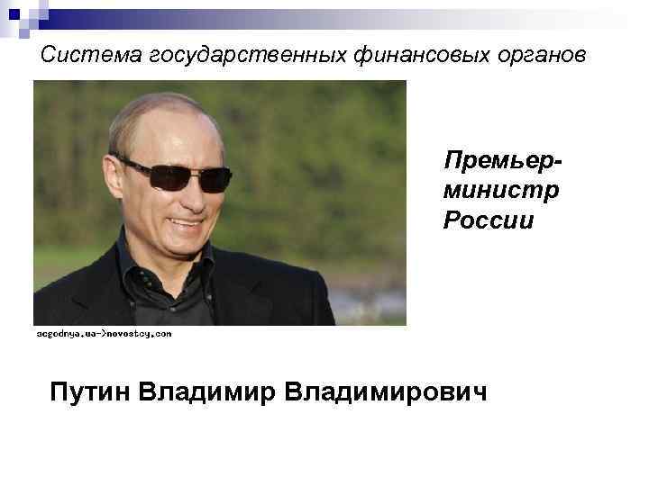 Система государственных финансовых органов Премьерминистр России Путин Владимирович 