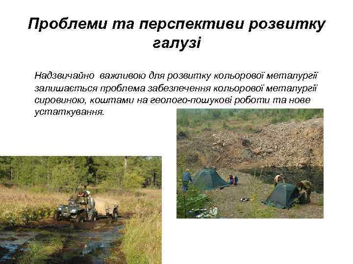 Проблеми та перспективи розвитку галузі Надзвичайно важливою для розвитку кольорової металургії залишається проблема забезпечення