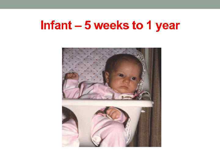 Infant – 5 weeks to 1 year 