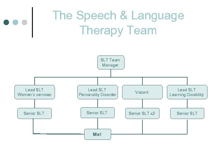 The Speech & Language Therapy Team SLT Team Manager Lead SLT Women’s services Lead