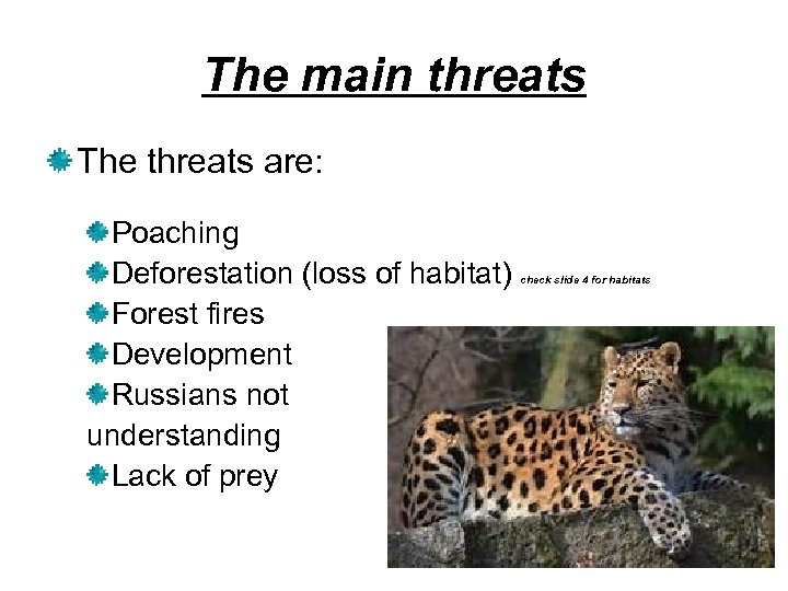 The main threats The threats are: Poaching Deforestation (loss of habitat) Forest fires Development