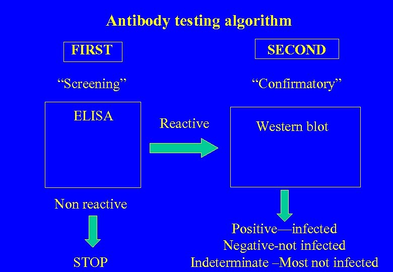 Antibody testing algorithm FIRST SECOND “Screening” “Confirmatory” ELISA Reactive Western blot Non reactive STOP