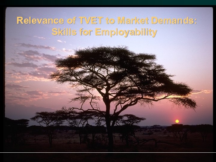 Relevance of TVET to Market Demands: Skills for Employability 1 