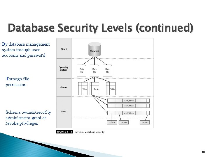 Database Security Levels (continued) By database management system through user accounts and password Through