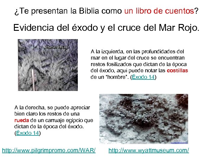 ¿Te presentan la Biblia como un libro de cuentos? Evidencia del éxodo y el