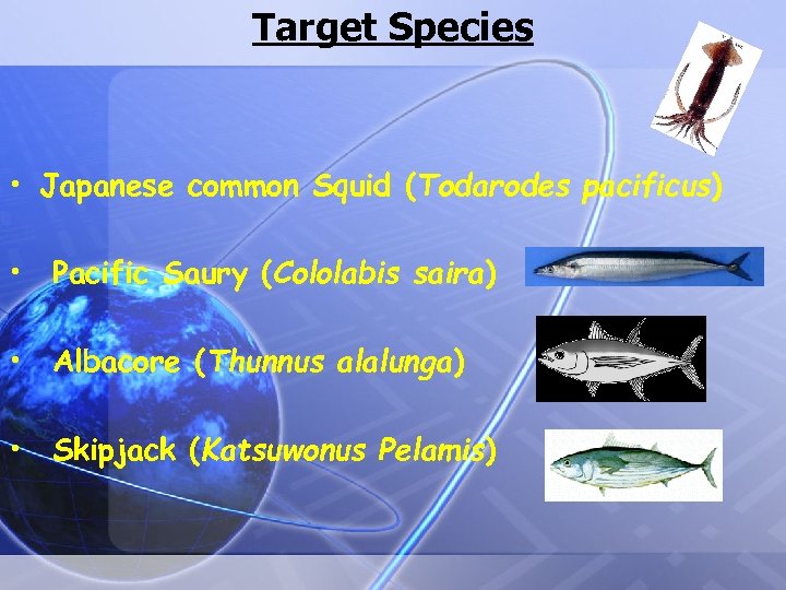 Target Species • Japanese common Squid (Todarodes pacificus) • Pacific Saury (Cololabis saira) •