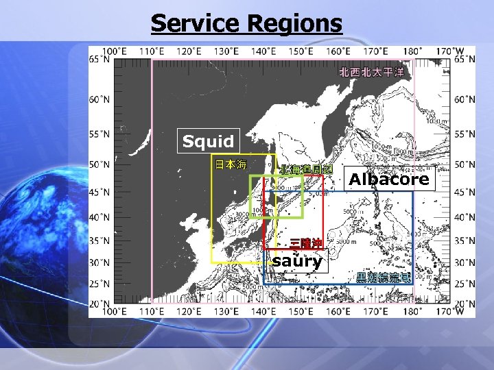 Service Regions Squid Albacore saury 