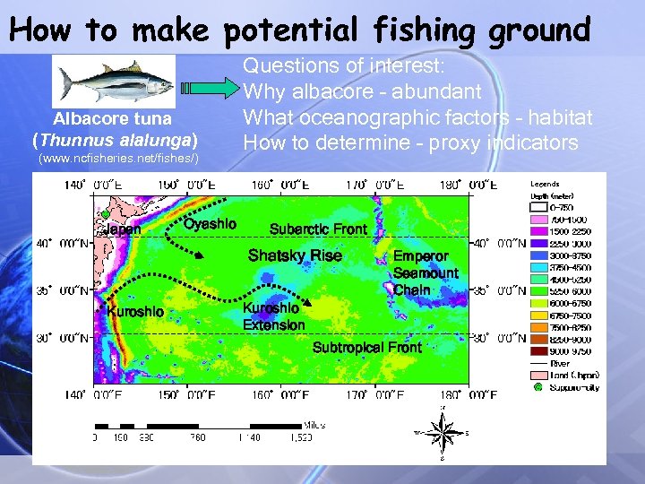 How to make potential fishing ground Albacore tuna (Thunnus alalunga) (www. ncfisheries. net/fishes/) Japan