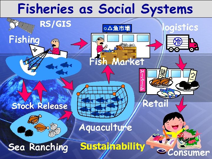 Fisheries as Social Systems RS/GIS logistics Fishing Fish Market 特 売 ウ ニ Retail