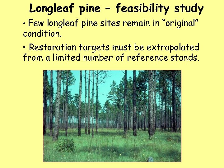 Longleaf pine – feasibility study • Few longleaf pine sites remain in “original” condition.