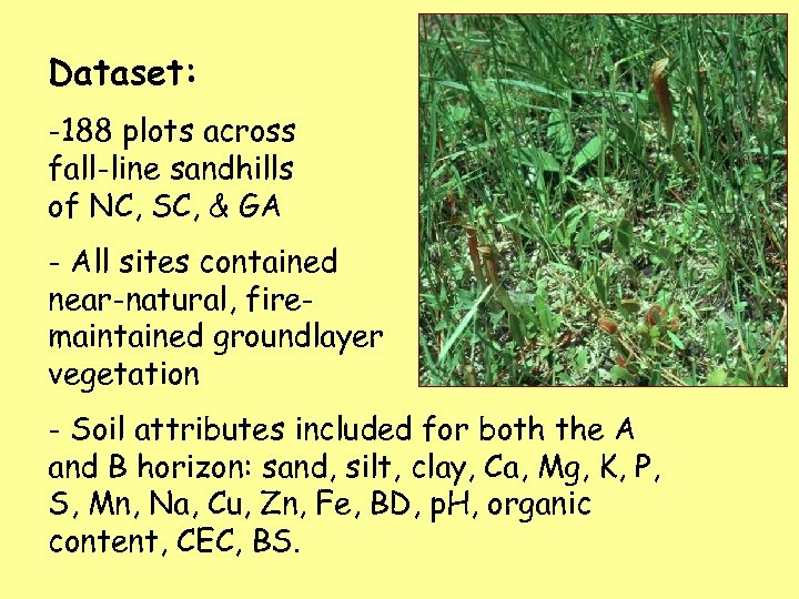 Dataset: -188 plots across fall-line sandhills of NC, SC, & GA - All sites