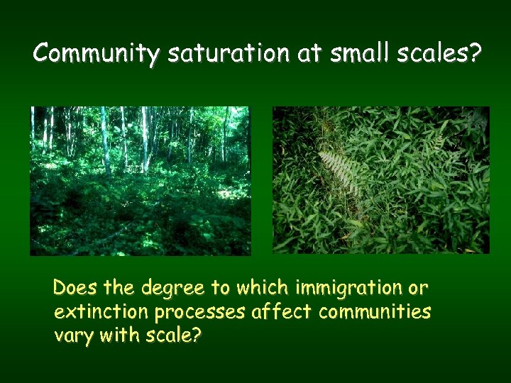 Community saturation at small scales? Does the degree to which immigration or extinction processes