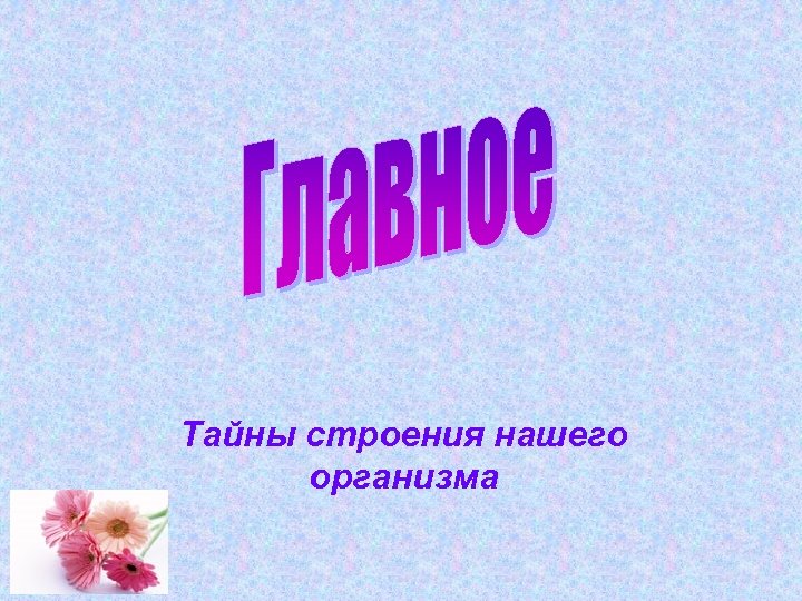 Тайны строения нашего организма 