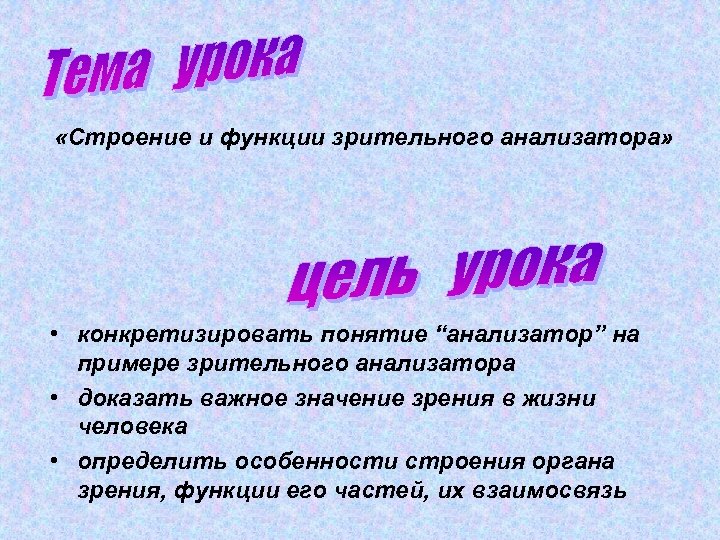  «Строение и функции зрительного анализатора» • конкретизировать понятие “анализатор” на примере зрительного анализатора