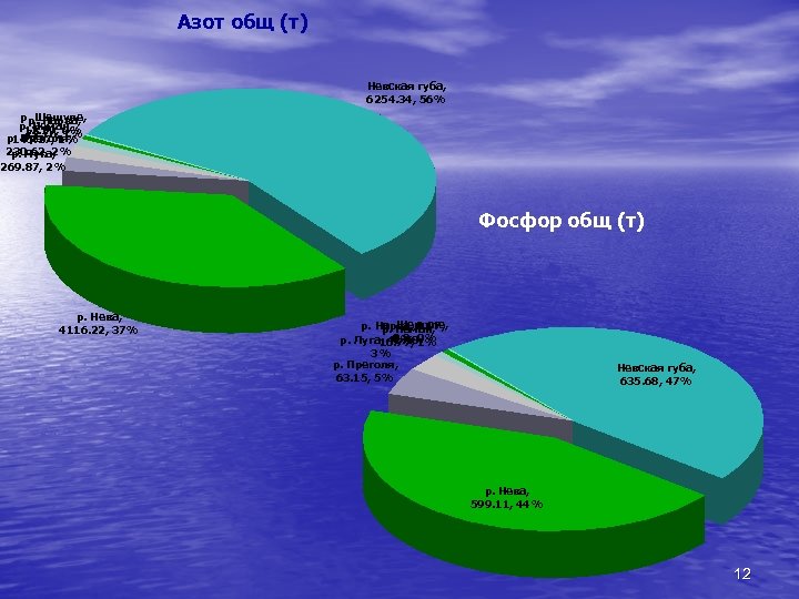 Азот общ (т) Невская губа, 6254. 34, 56% р. Шешупе, р. р. Нарва, Неман,