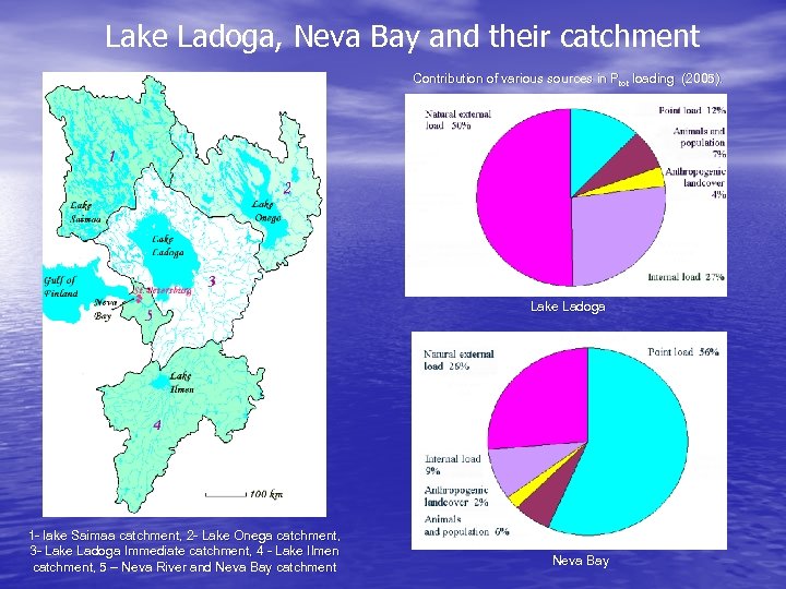 Lake Ladoga, Neva Bay and their catchment Contribution of various sources in Ptot loading