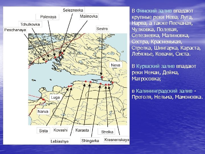 В Финский залив впадают крупные реки Нева, Луга, Нарва, а также Песчаная, Чулковка, Полевая,