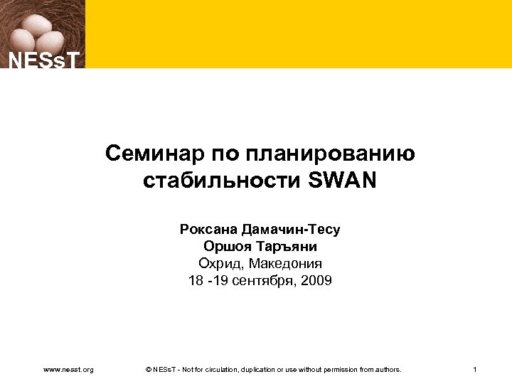 NESs. T Семинар по планированию стабильности SWAN Роксана Дамачин-Тесу Оршоя Таръяни Охрид, Македония 18