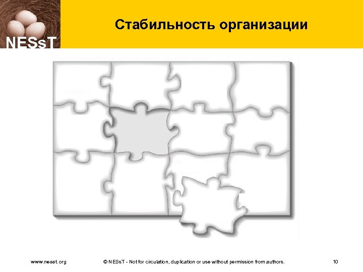 Стабильность организации NESs. T www. nesst. org © NESs. T - Not for circulation,