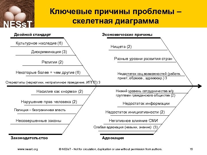 Ключевые причины проблемы – скелетная диаграмма NESs. T Двойной стандарт Экономические причины Культурное наследие