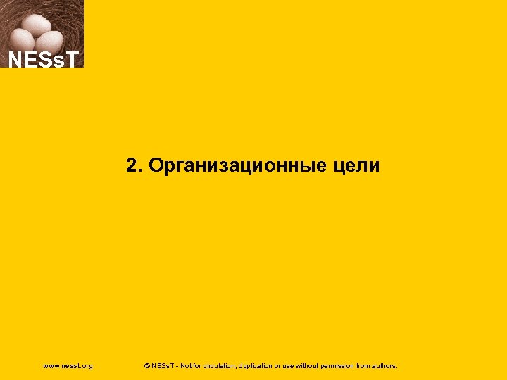 NESs. T 2. Организационные цели www. nesst. org © NESs. T - Not for