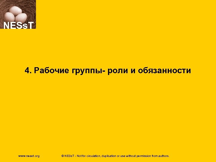 NESs. T 4. Рабочие группы- роли и обязанности www. nesst. org © NESs. T
