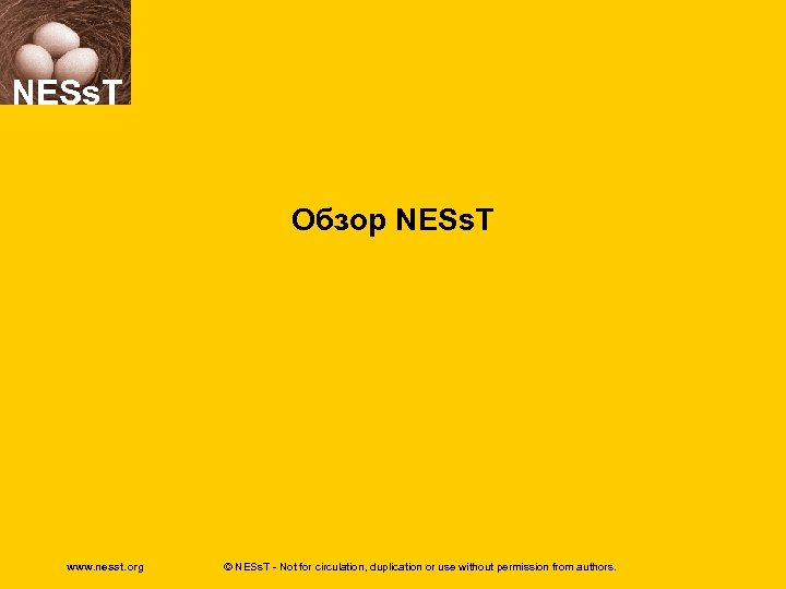 NESs. T Обзор NESs. T www. nesst. org © NESs. T - Not for