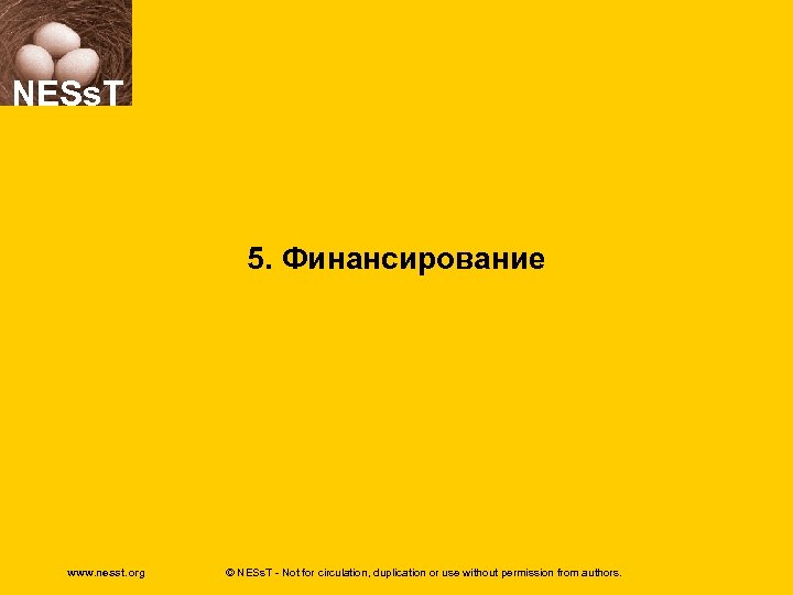 NESs. T 5. Финансирование www. nesst. org © NESs. T - Not for circulation,