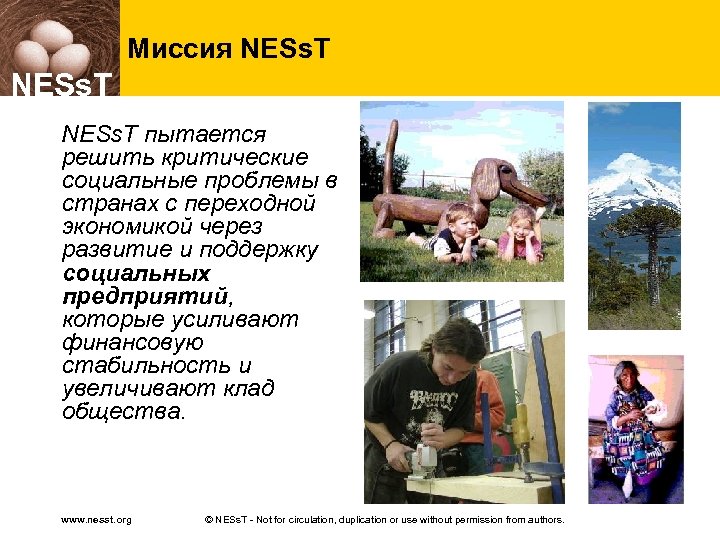 Миссия NESs. T пытается решить критические социальные проблемы в странах с переходной экономикой через