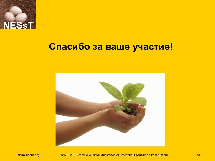 NESs. T Спасибо за ваше участие! www. nesst. org © NESs. T - Not