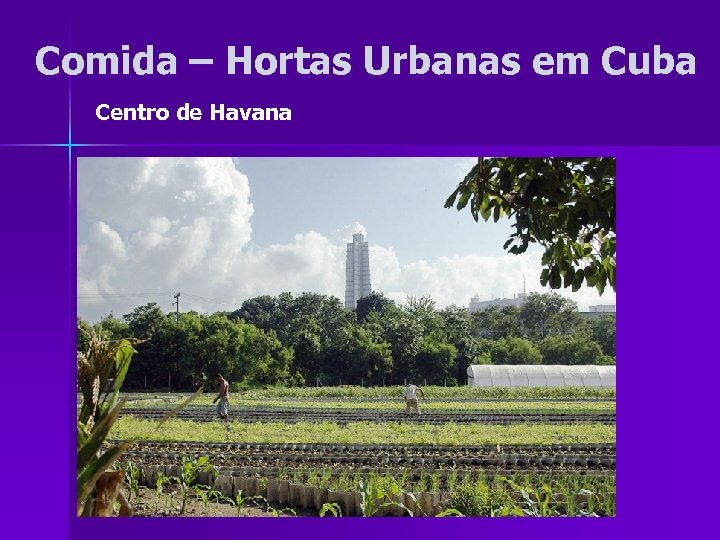Comida – Hortas Urbanas em Cuba Centro de Havana 