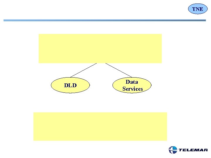 TNE DLD Data Services 
