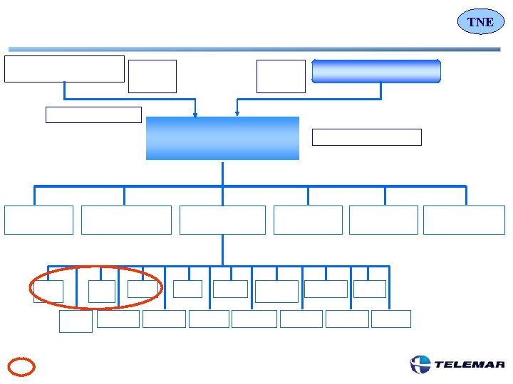 TNE 
